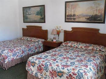 Relax Inn-collingwood Motel *